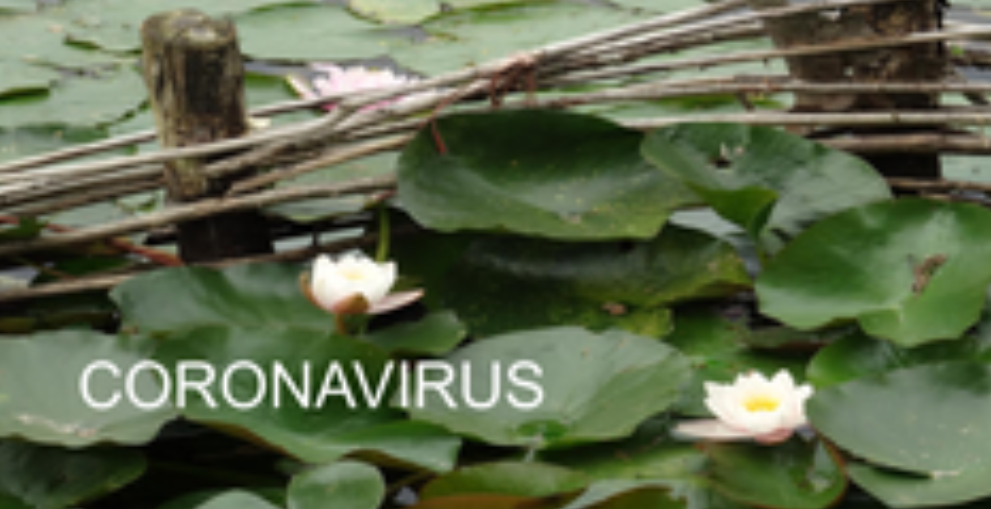 Coronavirus